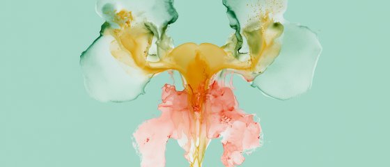Frauenpraxis frauenblog endometriose