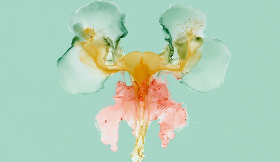 Frauenpraxis frauenblog endometriose